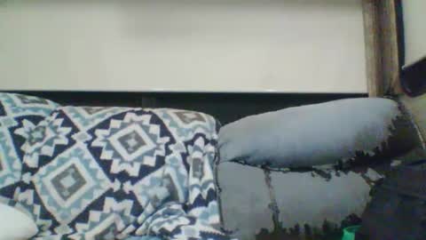 Snapshot of reese960384 chatting on 01-11-26, 07:35 reese960384 online show from 01-11-26, 07:35