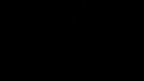 reinarica online show from 04-08-26, 09:42