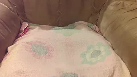 Mark online show from 09-17-25, 05:47