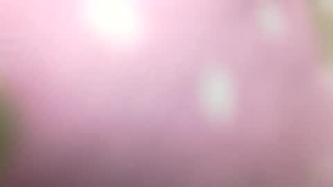 Shaved cock ready online show from 01-01-25, 10:56