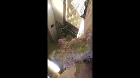 rich7665 online show from 04-26-26, 04:59