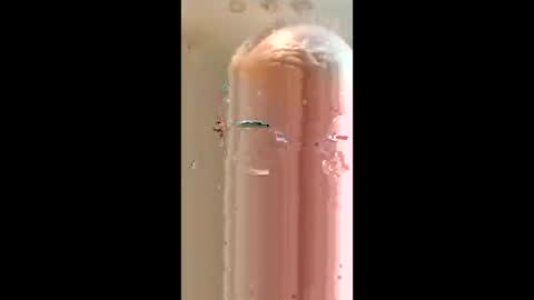 Snapshot of richarddockendorf74 chatting on 03-26-26, 03:01 Rickyrocket online show from 03-26-26, 03:01