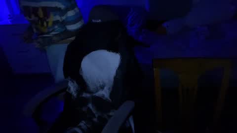   DianaBrite            fansl y online show from 12-17-24, 07:48