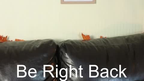 Alice online show from 12-13-24, 11:02