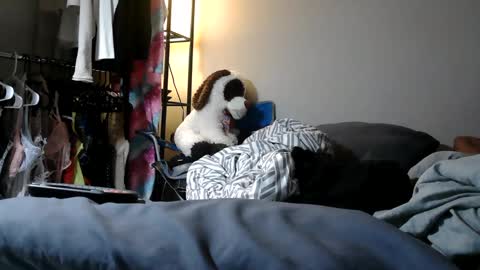 River Saint online show from 03-11-25, 11:04