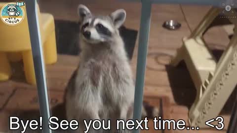 Snapshot of rndmzd chatting on 10-24-25, 12:52 Ryan aka KeylimeRy online show from 10-24-25, 12:52