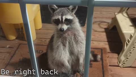 Snapshot of rndmzd chatting on 12-04-25, 07:33 Ryan aka KeylimeRy online show from 12-04-25, 07:33