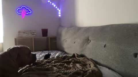 RoastingCorn online show from 01-03-25, 10:29