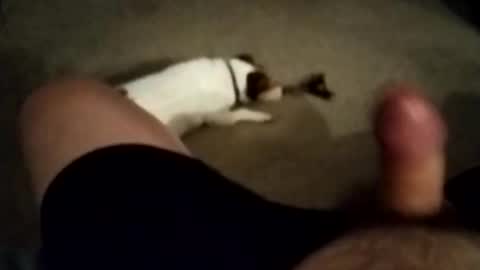 robbiebob6828 online show from 11-27-25, 06:04