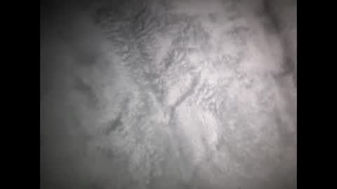 Snapshot of robertsaiz4200 chatting on 03-15-26, 08:31 robertsaiz4200 online show from 03-15-26, 08:31