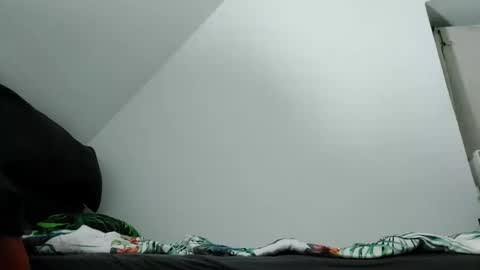 Zenek online show from 10-02-25, 09:33