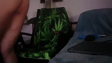 Zenek online show from 02-01-26, 08:02