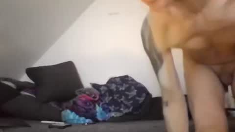 Zenek online show from 02-26-26, 08:13