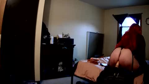 Snapshot of robinhead1981 chatting on 02-18-26, 05:53 RobinHEAD online show from 02-18-26, 05:53