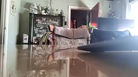 robke1966 online show from 04-12-26, 06:40