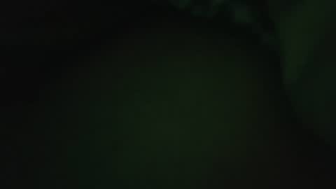 rocce4147 online show from 08-07-26, 04:58