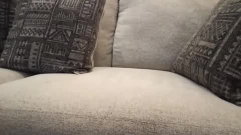 Snapshot of roger59267 chatting on 10-31-25, 07:59 roger59267 online show from 10-31-25, 07:59