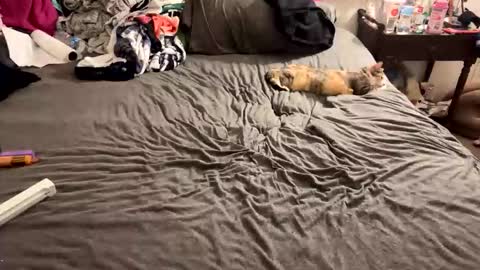 roguestoner420 online show from 03-07-26, 02:08