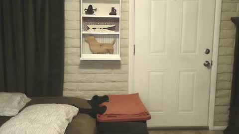 Snapshot of roinaz chatting on 01-25-25, 06:55 roinaz online show from 01-25-25, 06:55