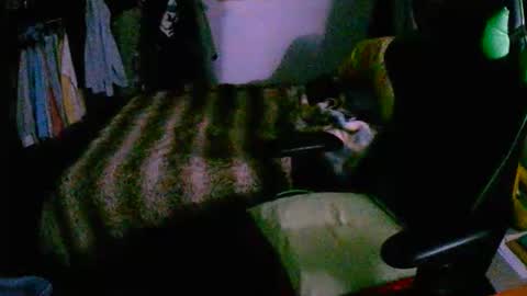 roktero 90 online show from 12-16-25, 08:03