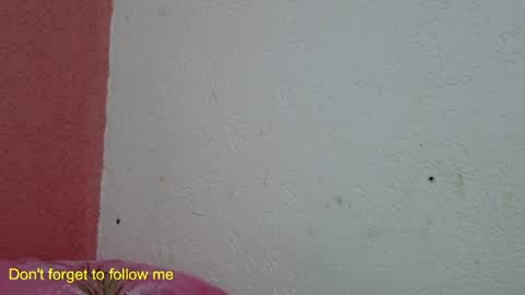 ronny online show from 01-31-25, 10:10