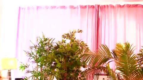 Rosa online show from 07-27-26, 08:21