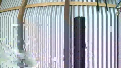 Snapshot of rosiahot1 chatting on 01-10-26, 08:05 rosia online show from 01-10-26, 08:05