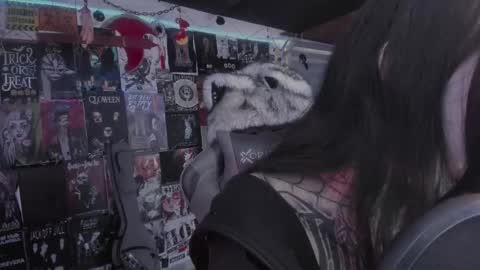 Snapshot of rotten_dreams chatting on 03-01-26, 06:10 rot online show from 03-01-26, 06:10