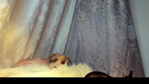 Snapshot of roxanamariahills_ chatting on 02-26-26, 06:01 Rosita online show from 02-26-26, 06:01