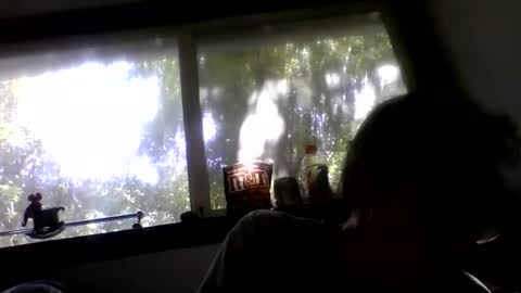 Snapshot of royboy2561 chatting on 05-26-26, 11:23 Roy Murrin online show from 05-26-26, 11:23