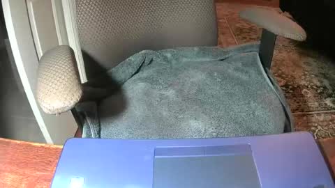 Snapshot of royer8650 chatting on 06-22-26, 08:55 Lookingaround online show from 06-22-26, 08:55