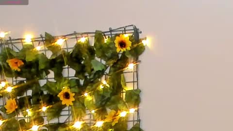 Rubby grace online show from 02-14-25, 04:37