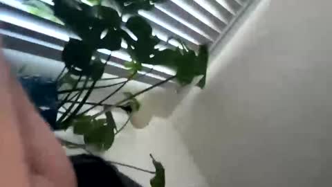 Snapshot of rula___1 chatting on 02-04-26, 10:47 rula___1 online show from 02-04-26, 10:47