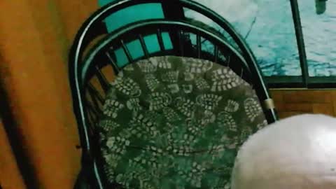 runnnaz online show from 10-14-25, 01:28