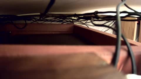 Snapshot of russelnash1900 chatting on 12-02-24, 10:12 Russel Nash online show from 12-02-24, 10:12