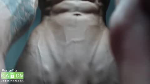 Snapshot of rustynf1tz chatting on 10-23-25, 05:29 MillionDollarGuy online show from 10-23-25, 05:29