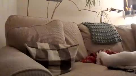 Snapshot of rustyx22 chatting on 01-31-25, 03:52 Rusty online show from 01-31-25, 03:52