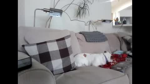 Snapshot of rustyx22 chatting on 03-06-25, 04:07 Rusty online show from 03-06-25, 04:07