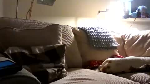 Snapshot of rustyx22 chatting on 10-02-25, 01:34 Rusty online show from 10-02-25, 01:34