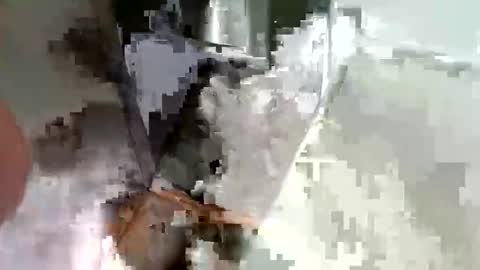 ryucravenmore online show from 10-14-25, 03:35