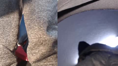 Snapshot of ryushi009 chatting on 01-21-25, 05:38 Ryushi009 online show from 01-21-25, 05:38