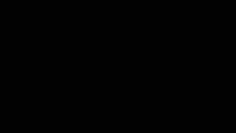 Snapshot of ryushi009 chatting on 01-24-25, 03:32 Ryushi009 online show from 01-24-25, 03:32