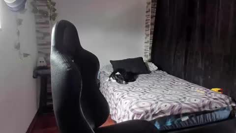 Danny online show from 11-02-25, 02:19