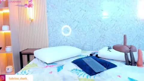 Snapshot of sabrina_shark chatting on 10-18-25, 02:47 Sabrina Shark online show from 10-18-25, 02:47