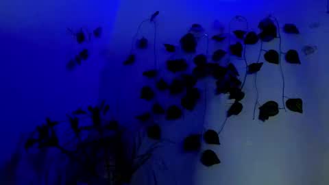 SABRI online show from 04-01-26, 02:23