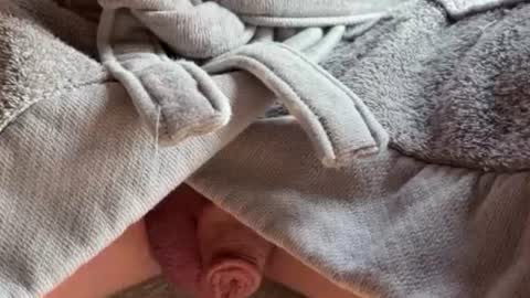 saconuts online show from 02-13-26, 08:54