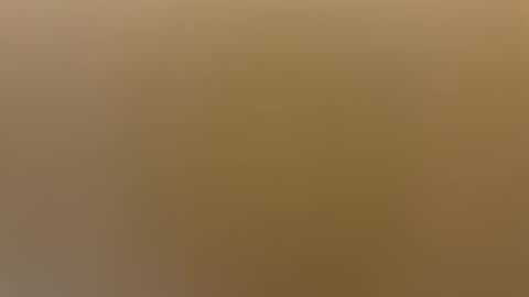 saconuts online show from 04-19-26, 08:24