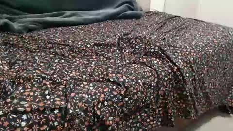 Snapshot of sactosteve chatting on 12-15-24, 08:04 dadbod online show from 12-15-24, 08:04