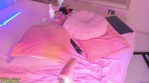 Snapshot of saekohofman chatting on 11-15-25, 06:11 Mara online show from 11-15-25, 06:11