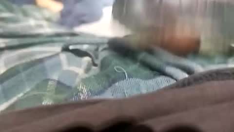 sagozure online show from 10-05-25, 01:59